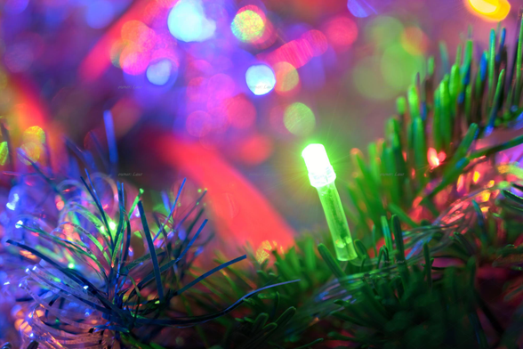 Christmas lights, closeup, color, photo