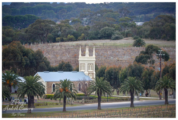 A picturesque, horizontal photograph of the Manaranga Church set against a backdrop of rolling hills. The church features a central white tower with Gothic spires and a main building with a blue corrugated iron roof and stone walls. 

In the foreground, a row of palm trees lines the roadside, and bare winter grapevines climb the gentle slope behind the church. The surrounding landscape is dominated by dense Australian bush land and trees.