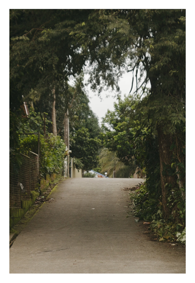 A quiet, paved road gently sloping upwards into the distance. It is heavily framed by lush, green vegetation on all sides.