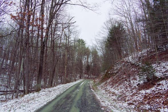 A road slants up from the bottom and turns to the right disappearing behind a hill,  both sides of the road have a light dusting of snow over fallen leaves,  to the left there are tall trees lining the road,  to the right smaller trees atop a hill that rises sharply from the side of the road