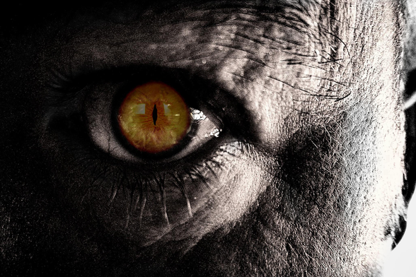 A close-up, monochromatic image features a portion of a face, heavily shadowed with dramatic lighting. The primary focus is on one eye, which is a vibrant amber color with a distinct, vertical slit pupil reminiscent of a reptile or cat. The surrounding skin is textured and appears rough, with visible wrinkles and creases accentuated by the stark contrast between light and shadow.