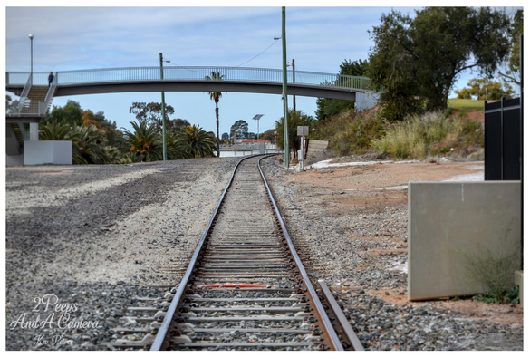 Photograph showing a centred, low perspective view of railway tracks receding into the distance at the Mildura railway station.

The tracks curve slightly under a contemporary, elevated steel footbridge. The scene includes gravel ballast, palm trees, and dry Australian vegetation on the surrounding banks.