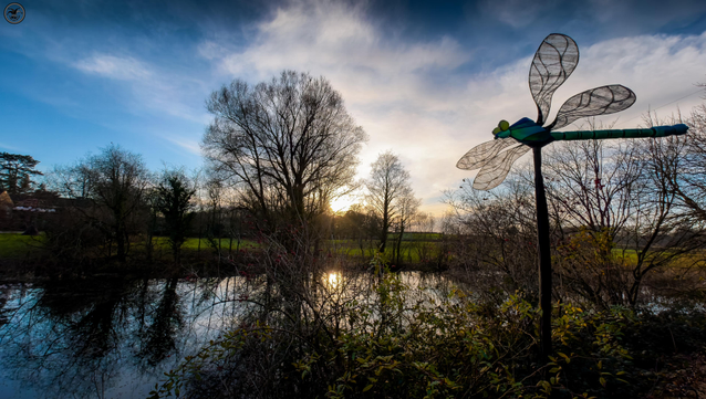 Sunset over tree lined pond with dragonfly sculpture 