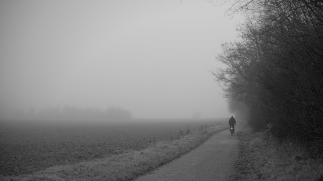 Ein Schwarz-Weiß-Foto zeigt eine neblige Landschaft. Ein Radfahrer fährt auf einem schmalen Weg entlang. Rechts des Weges stehen kahle Bäume, links erstreckt sich ein Feld. Im Hintergrund verschwimmt ein Wald im Nebel. Die Aufnahme hat eine düstere und einsame Stimmung.