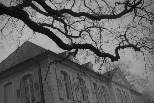 Das Schwarzweißfoto zeigt ein Gebäude mit vielen Fenstern, über dem sich Äste eines Baumes erstrecken. Die Äste sind kahl und bilden ein filigranes Muster vor dem hellen Himmel. Die Fassade des Gebäudes ist klassisch und wirkt durch die monochrome Darstellung zeitlos. Die Komposition nutzt den Baum im Vordergrund, um dem Bild Tiefe zu verleihen. Die Stimmung ist ruhig und etwas melancholisch.