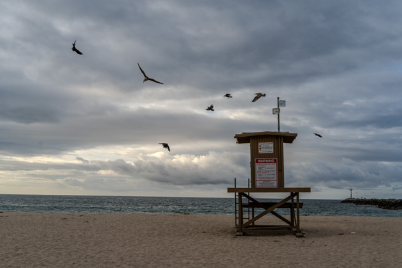 The image depicts a beach scene under a cloudy sky with gray and white clouds. In the foreground, there is a lifeguard tower positioned on the sandy beach, slightly to the right of center. Several birds are mid-flight around the tower, their wings spread against the backdrop of the sky. The ocean extends across the middle of the image, with gentle waves visible in the distance. The horizon is slightly obscured by the clouds.
