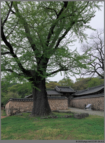 Nogudang house, Haenam, Jeollanam-do, Korea.