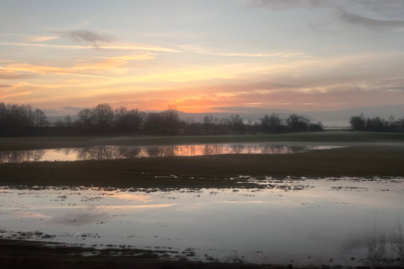 A pastel sunset partially reflected in flooded fields. A pale blue sky, light yellow clouds and a dim orange/pink glow in the middle, the horizon obscured by trees and a bank of clouds behind. 