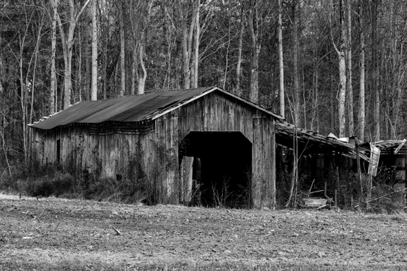 A black and white photo of an old weathered wooden barn with a tin roof.