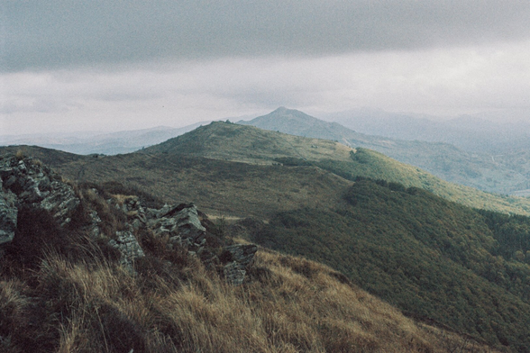 A moor with dry grass, visible trees, and heavy clouds hovering over the mountain peaks.