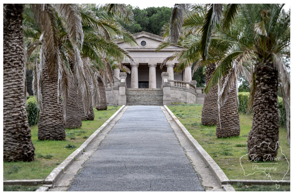 A long, paved pathway flanked by a symmetrical row of tall, mature palm trees with shaggy trunks leads up a flight of stone steps to the Seppeltsfield family mausoleum.  The classical style mausoleum features columns and a triangular pediment with a round window (oculus). The surrounding area is grassy.