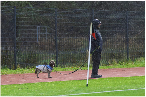 A person watching rugby, wearing a black jacket and hood stands on a track in the rain, holding a leash connected to a small dog dressed in a blue coat. 