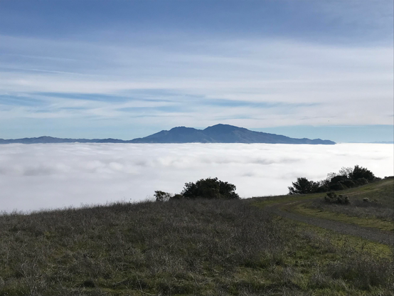 A distant mountain is shown in silhouette, with blue sky and high clouds above it and a sea of fog below. Scrubby plants and a wide trail are in the foreground. 