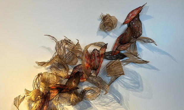 Various bits of brown and reddish paper that look like decayed and twisted plant husks against a white wall, casting subtle shadows along the wall.
