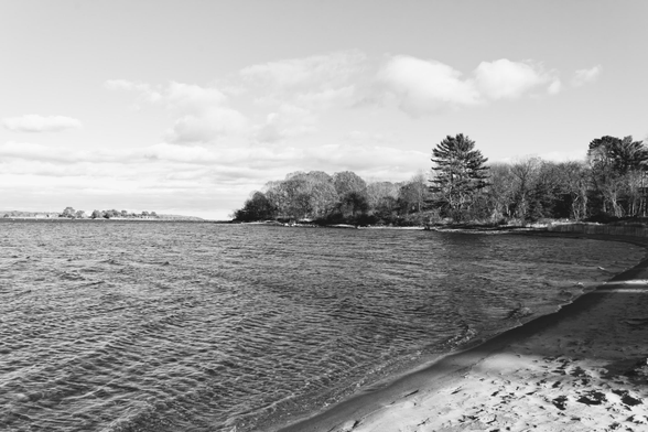 Bay with sandy beach on the lower right and trees further away