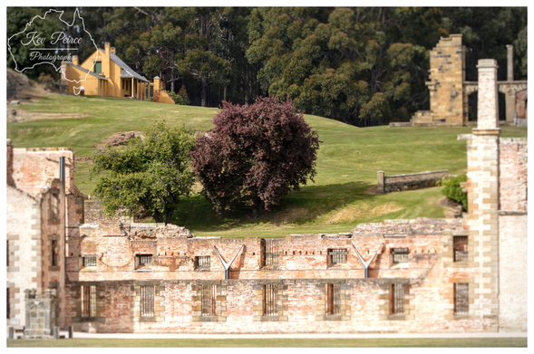 A photograph capturing the layered history of Port Arthur. In the foreground, the focus is on the deteriorated red brick walls and barred windows of a main ruin.  Beyond a stretch of green lawn, a dark red leafed tree and a green tree stand out on a gentle slope. In the background, there is a well preserved yellow historic building and the ruins of another structure, backed by a dense eucalypt forest. Photo by Kev Peirce.