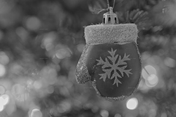 Christmas lights, closeup, black and white, photo