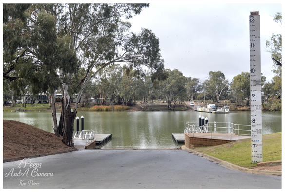 A wide angle photo of the Morgan ferry ramp on the Murray River in South Australia. A paved ramp leads down to the water, where two low floating pontoons meet the river.

In the middle distance, a white vehicle is waiting on the double platform cable ferry. The river is calm, and the banks are lined with native Australian gum trees under an overcast sky.

A large, white wooden water level gauge marked in meters stands prominently on the right.