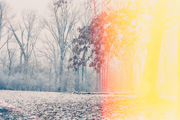 A color photograph of a winter wooded scene with fallen leaves and barren trees covered in a dusting of snow with a branch with some brown leaves in the middle. The left side of the frame is a color winter blue but due to a massive light leak the right side has a very bright yellow cast that changes to an orange and red sections before meeting the rest of the blue frame. Shot with a Canon CanonetG-IIIQL17 and  lens, on KodakVision3500T, and developed with KodakC41 by Shom Bandopadhaya. Licensed under Creative Commons Attribution-NonCommercial-ShareAlike (CC BY-NC-SA).