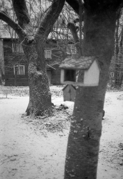 The photo shows a winter landscape with trees, one of which has a birdhouse. Snow covers the ground, creating an atmosphere of tranquility and privacy.