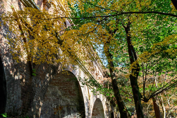 水路閣。赤くならずに黄色のままのイロハモミジ、その奥に緑の葉の木、そして隙間から少しだけ青空。/ 2025.12.07 南禅寺から