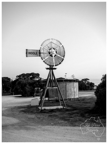 A black and white photograph of a large, multi bladed windmill standing on a wooden tripod base in a dusty, open area.  Trees and low scrub frame the background, and there is a water tank or shed visible to the right.
