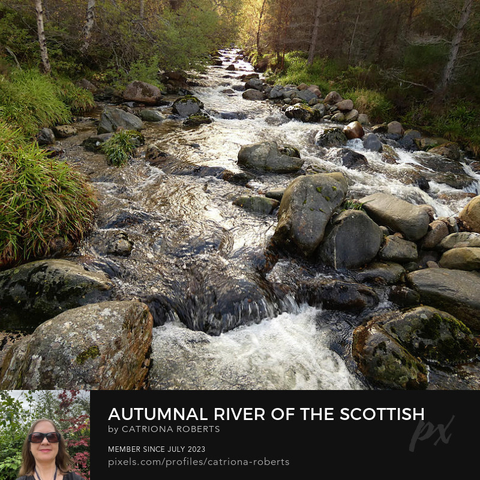 Above coloured photograph featuring the design- 

Autumnal River of the Scottish Highlands.

I took this photograph featuring a stunning river in the Scottish Highlands during a wonderful autumnal nature walk. 

The Birch tree in the background appears like the sun to radiate sunlight down along the river to the foreground and edge of the canvas.

Click links on the main post for options.
