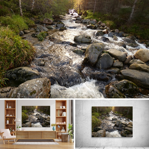 Above coloured photograph featuring the design- 

Autumnal River of the Scottish Highlands. 

Lower left design on a Canvas Print on a wall above a living room unit. 

Lower right design on a Canvas Print on an exhibition wall.
 
I took this photograph featuring a stunning river in the Scottish Highlands during a wonderful autumnal nature walk.

The Birch tree in the background appears like the sun to radiate sunlight down along the river to the foreground and edge of the canvas. 

Mockups combined in a grid format in canva.com 

Click links on the main post for options.



