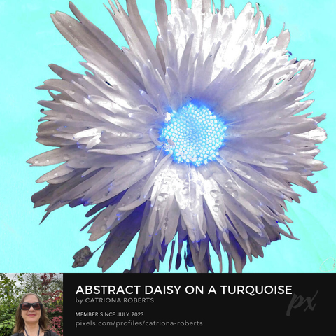 Coloured composition featuring the mixed media design-

 Abstract Daisy on a Turquoise Background.

I took a close up photo of a Daisy flower and combined it with a hand painted acrylic, laterally digitally manipulating both using various means (including the Background Remover and layering options in canva,com) enabled this stunning floral design to emerge.

Features a vibrant flower with luminescent blue and white hues sits against a bright turquoise background. 

The petals have a metallic sheen, giving the image an ethereal quality. 

Click links on the main post for options.

