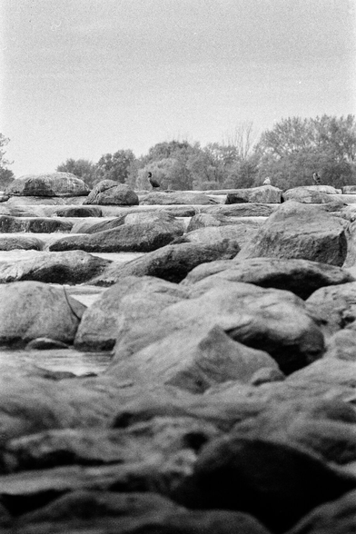 Black-and-white film photograph of a rocky shoreline seen from a very low angle. Large stones fill most of the frame, forming horizontal layers that lead toward the background. Three small birds stand spaced apart along the top row of rocks near the horizon. Behind them are soft, out-of-focus trees and a pale, empty sky. The image feels quiet, still, and observational.