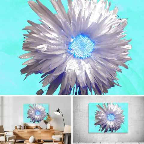 Above coloured composition featuring the mixed media design- 

Abstract Daisy on a Turquoise Background.

Lower left design on a Canvas Print on a wall above a living room unit. 
Lower right design on  a Canvas Print on an exhibition wall. 

I took a close up photo of a Daisy flower and combined it with a hand painted acrylic, laterally digitally manipulating both using various means (including the Background Remover and layering options in canva,com) enabled this stunning floral design to emerge.

Features a vibrant flower with luminescent blue and white hues sits against a bright turquoise background.

The petals have a metallic sheen, giving the image an ethereal quality. 

Mockups combined in a grid format in canva.com 

Click links on the main post for options.
