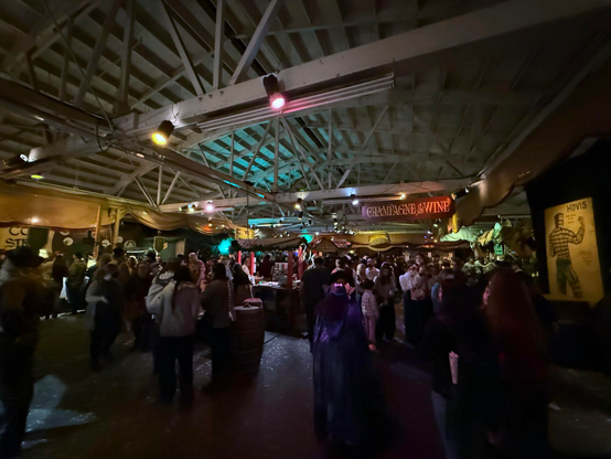 Crowdedinterior shot of the Dickens Fair. A sign read "CHAMPAGNE & WINE" but it looks a bit like "CHAMPAGNE SWINE" at first glance. :)