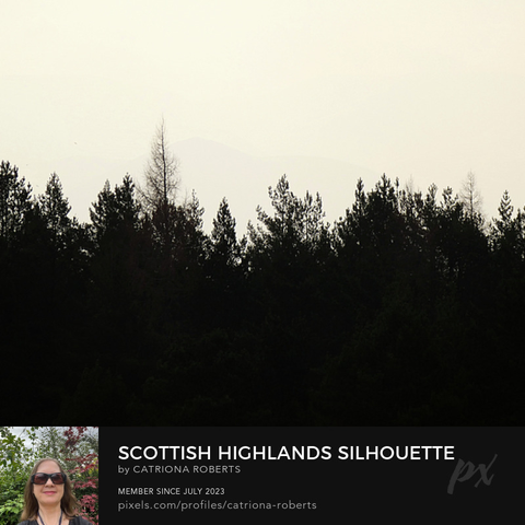 Coloured photograph featuring the design-

Scottish Highlands Silhouette of Pines.

I took this photo during a lovely nature walk through the Scottish Highlands. 

Features silhouetted pine trees standing against a softly lit sky, creating a tranquil and serene scene. 

The delicate haze in the background suggests distant rolling hills.

Click links on the main post for options.
