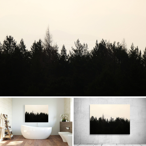 Above coloured photograph featuring the design-

Scottish Highlands Silhouette of Pines. 

Lower left design on a Canvas Print on a bathroom wall. 

Lower right design on a Canvas Print on an exhibition wall.  

I took this photo during a lovely nature walk through the Scottish Highlands. 

Features silhouetted pine trees standing against a softly lit sky, creating a tranquil and serene scene. 

The delicate haze in the background suggests distant rolling hills. 

Mockups  combined in a grid format in canva.com 

Click links on the main post for options.
