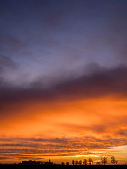 Hochformat. Ein Sonnenuntergang, schräg gestreift von oben nach unten in graublau, orange, gelb - ganz unten ein winziger Streifen Silhouetten: Bäume, Sträucher, Horizont.