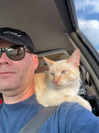 Car interior shot of a scruffy looking white dude selfie, wearing hat and sunglasses, with a flamepoint siamese cat named Guapo riding shotgun on his shoulder.