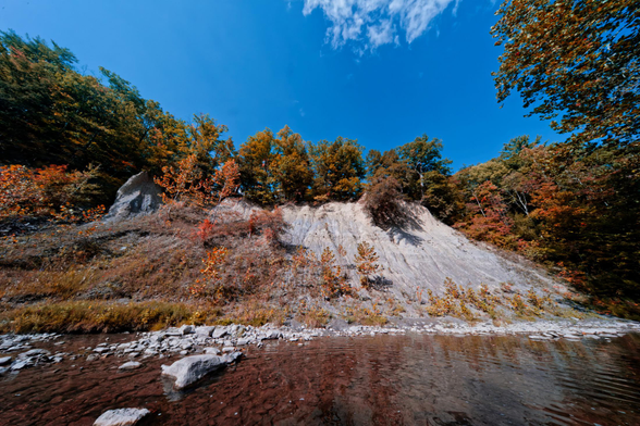 A great cliff formed by the creek cutting through sand and gravel with rust-tinted trees all around it.