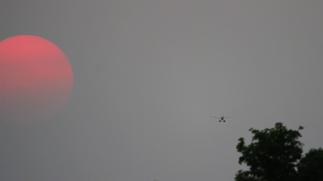 Sunset photo of a fading pink sun in a flat grey sky with a small seaplane visible just over a treetop in the lower right.