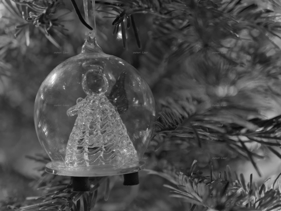 Christmas lights, closeup, black and white, photo