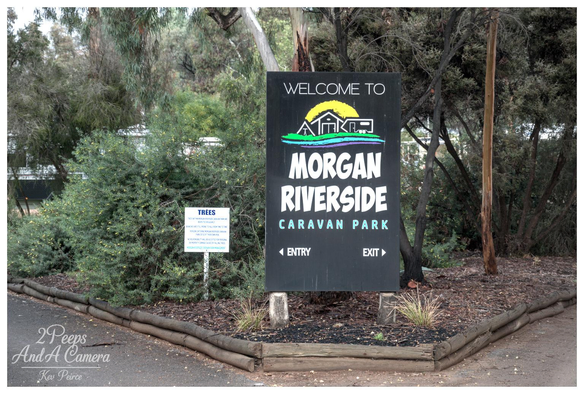 A photograph of a large, black vertical sign reading "WELCOME TO MORGAN RIVERSIDE CARAVAN PARK" in large white lettering with a stylized yellow sun and green and purple river graphic above the text.

The sign stands amidst dark mulch and dense green foliage, with a small blue and white sign regarding trees to the left. A low wooden sleeper border runs across the bottom edge.
