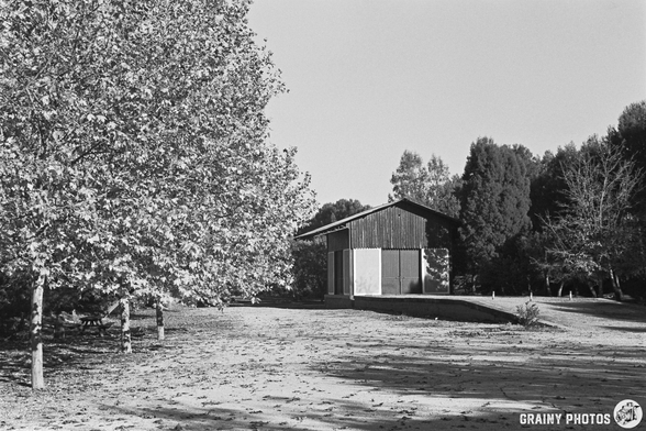 An outdoor scene featuring a rustic old railway building with an adjacent ramp and platform. Surrounded by trees and fallen autumn leaves. Sunlight casts soft shadows, enhancing the serene atmosphere of the scene, all captured in black and white.