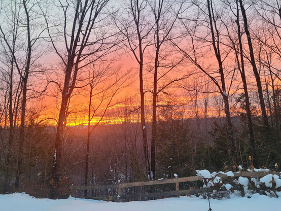 Un lever de jour rouge à l'horizon. Une colline au loin, des arbres dénués de feuilles en avant avec mon terrain tout en avant, enneigé. 