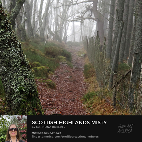 Coloured photograph featuring the design- 

Scottish Highlands Misty Woodland Path.

I took this photo during an early winter nature walk through the Scottish Highlands. 

Features a foggy trail winding through a dense forest, flanked by bare trees on both sides. 

The atmosphere is serene and mysterious, with the mist adding a layer of intrigue.

Click links on the main post for options.
