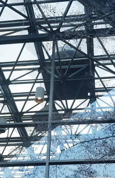 Exterior view of a modern glass roof with exposed metal beams, pendant lights, and decorative branches interspersed throughout, with an overcast sky visible through the glass.