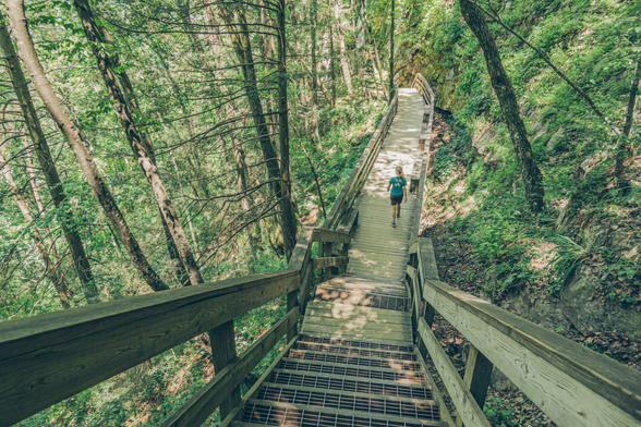 An elevated wooden boardwalk with railings winds through a dense forest, descending via stairs in the foreground before curving upward through the trees. A person in a teal shirt walks along the distant section of the walkway. The boardwalk features metal grating on the stair treads for traction. Tall trees with moss-covered trunks surround the pathway, creating a lush canopy of green foliage overhead. The forest floor is covered with fallen leaves and undergrowth. Dappled sunlight filters through the tree branches, creating a serene woodland atmosphere.