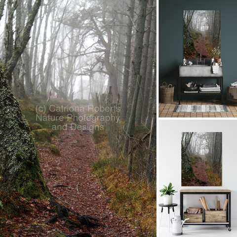 Upper/lower left coloured photograph featuring the design- 

Scottish Highlands Misty Woodland Path. 

Upper right design on a Canvas Print on a wall above a sink. 

Lower right design on a Canvas Print on a wall above a table.

I took this photo during an early winter nature walk through the Scottish Highlands. 

Features a foggy trail winding through a dense forest, flanked by bare trees on both sides. 

The atmosphere is serene and mysterious, with the mist adding a layer of intrigue. 

Mockups combined in a grid format in canva.com 

Click links on the main post for options.


