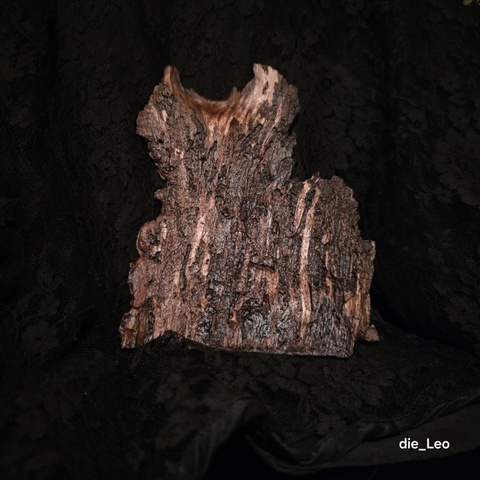 Holzflamme ... aus meiner Serie Holzobjekte

Wood flame ... from my wooden objects series