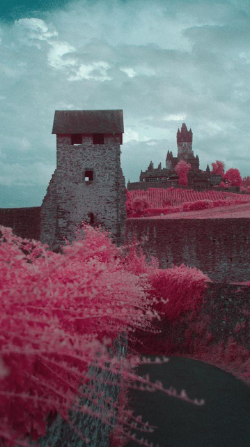 But if you climb a bit outside of the historical center you'll find calm views like from this cemetery overlooking the old city wall and hills leading up towards the castle