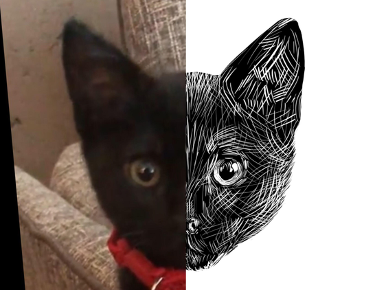 Black and white drawing of a black kitten named Rallye, with the left half of the image being the reference.