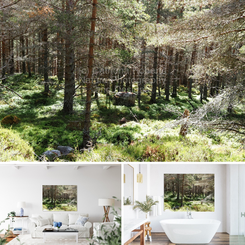 Above coloured photograph featuring the design- 

Summer's Sun Kissed Forest.

Lower left design on a Canvas Print on a wall above a couch. 

Lower right design on a Canvas Print on a bathroom wall.  

I took this photo during a lovely summer nature walk through the Scottish Highlands. 

Features a serene Pine forest with sunlight filtering through the tall trees, casting dappled shadows on the lush green undergrowth. 

The tranquil setting conveys a peaceful and quiet atmosphere. 

Mockups  combined in a grid format in canva.com 

Click links on the main post for options.
